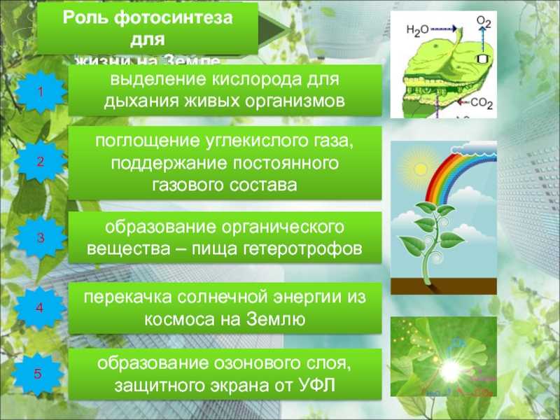 Излучение: свет - степановских а.с. экология. учебник для вузов