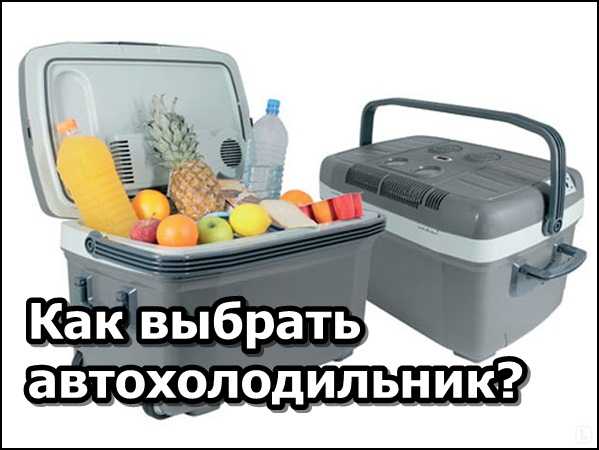 Как выбрать автомобильный холодильник