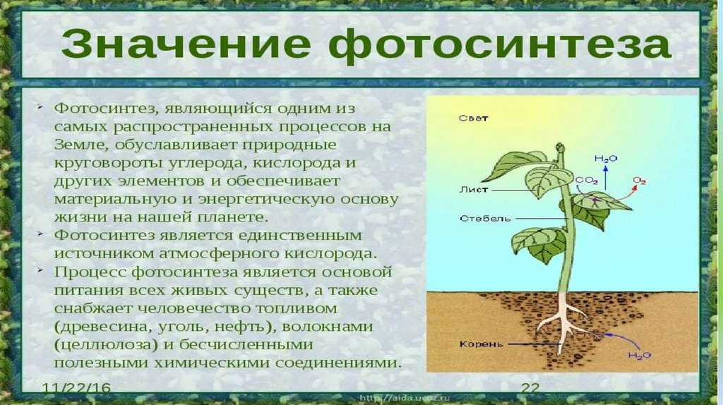 Солнечная энергия — как преобразуют в электрическую, практическое применение