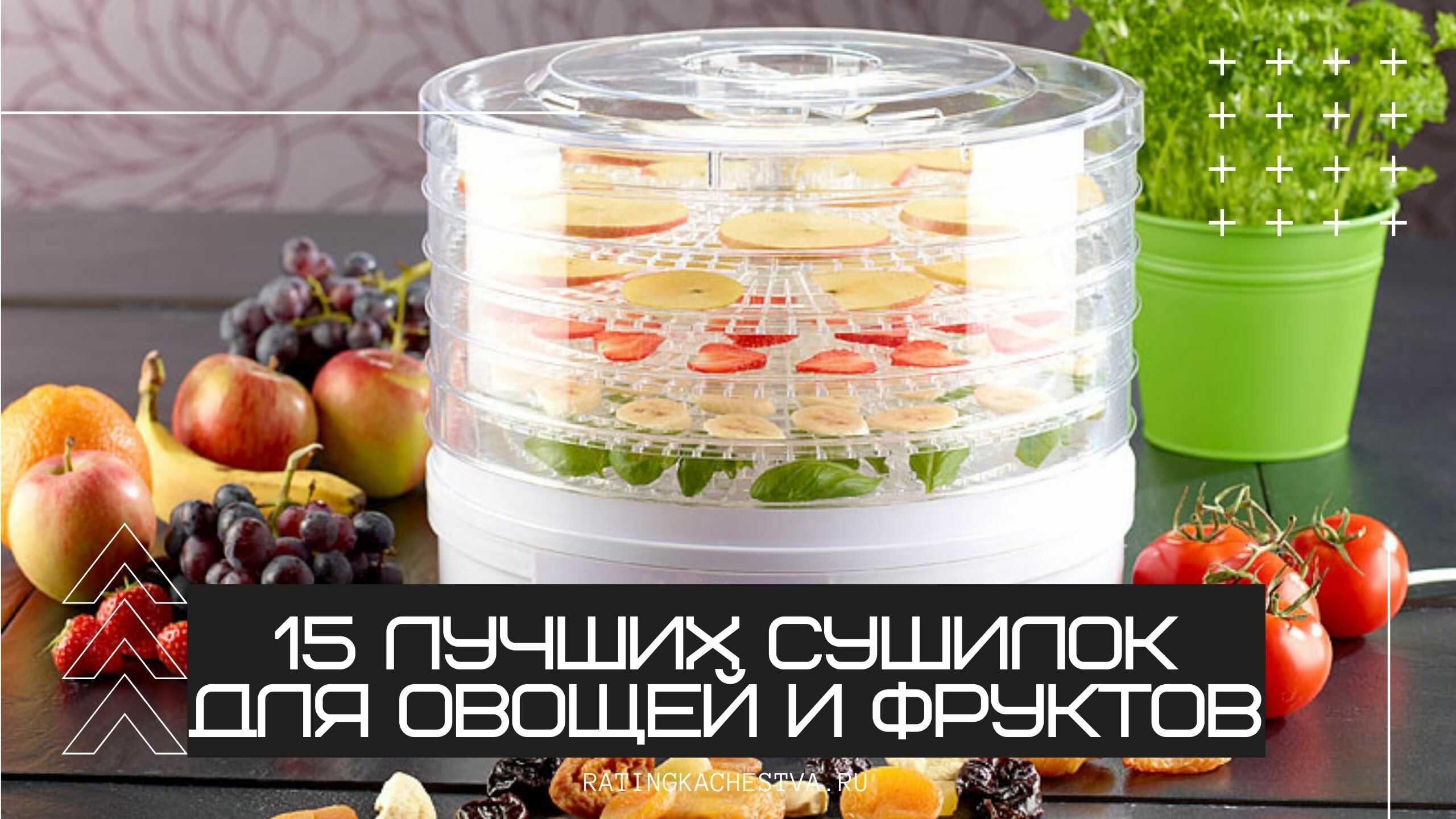 Рейтинг лучших сушилок для овощей и фруктов в россии 2023