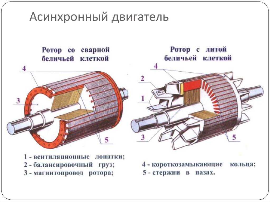 Чертеж ротора асинхронного двигателя