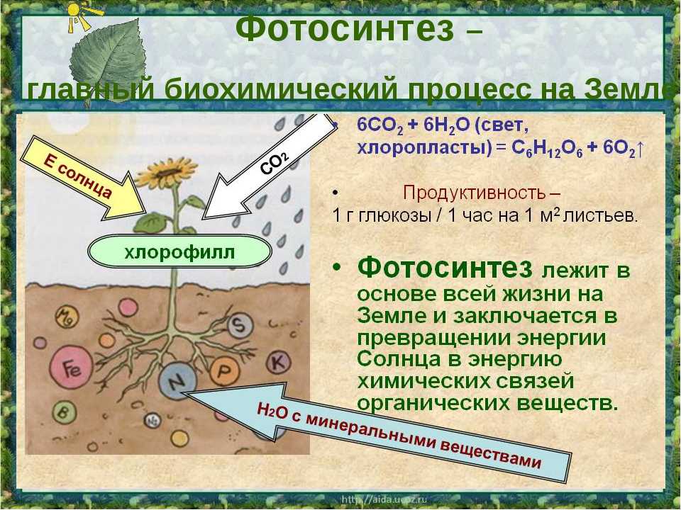 Солнечная энергия — как преобразуют в электрическую, практическое применение