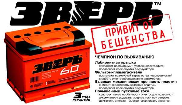 Российские авто аккумуляторы: виды, рейтинги, обзоры моделей