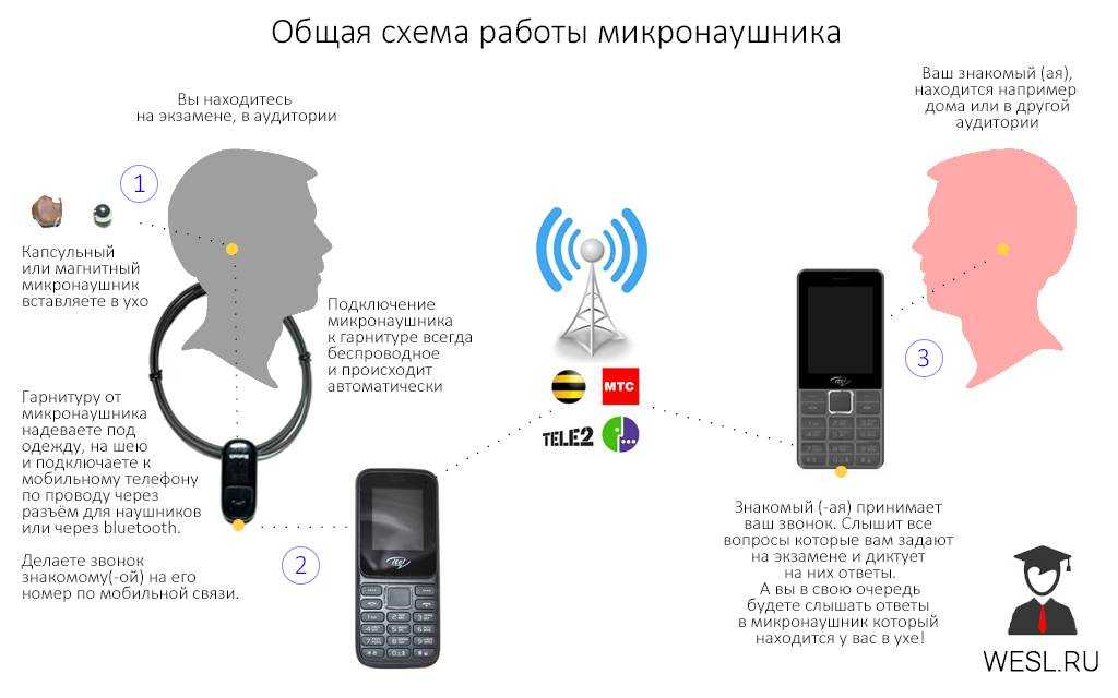 Разговоры о важном: программа, темы, содержание уроков