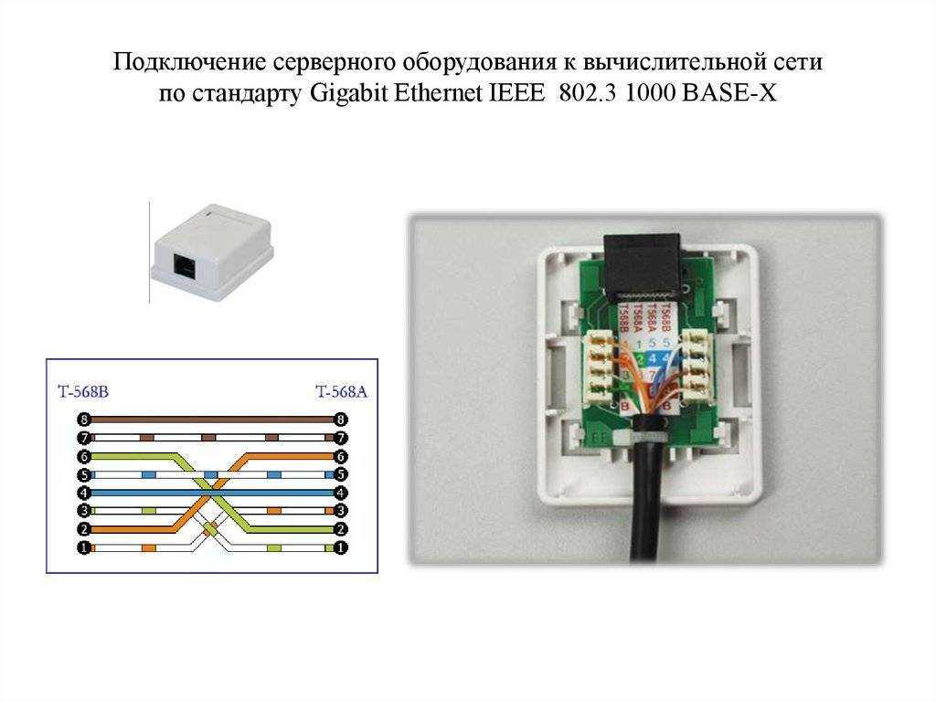 Как подключить интернет розетку и коннектор: фото, видео